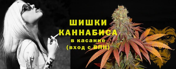 a pvp Богородицк