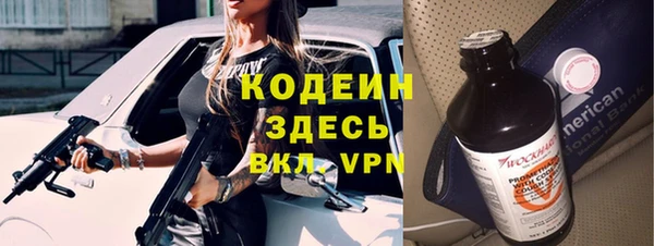 соль ск Пестово