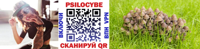 Псилоцибиновые грибы Magic Shrooms  наркошоп  Бутурлиновка 